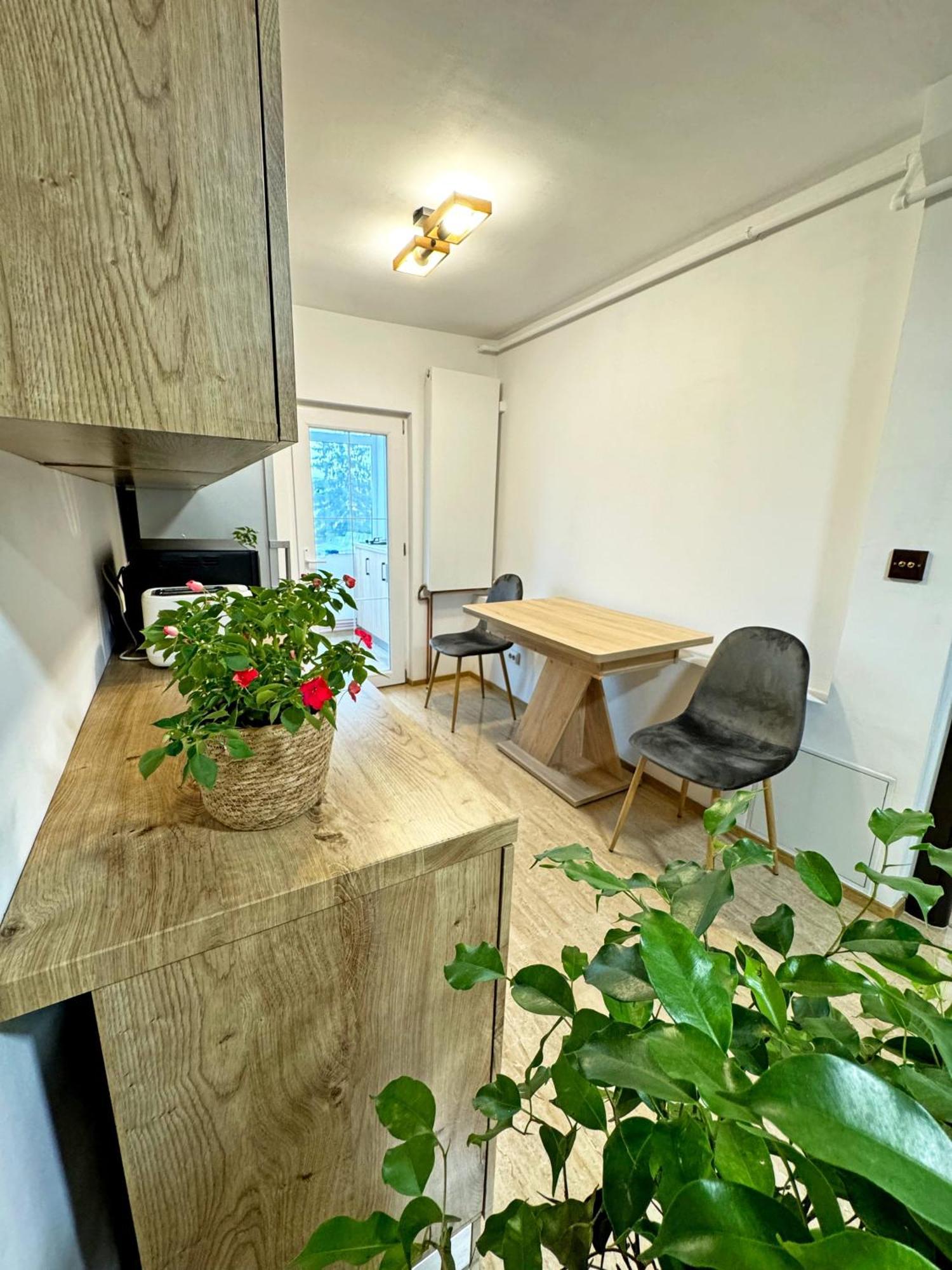 Ultracentral Apartment Тыргу-Жиу Экстерьер фото